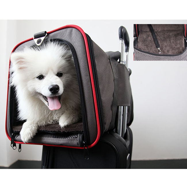 pet carrier for airplane